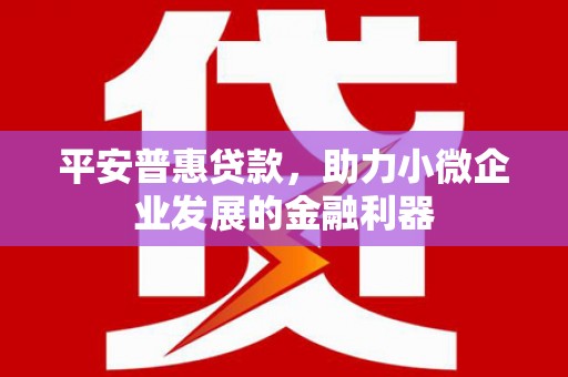 芦淞平安普惠贷款，助力小微企业发展的金融利器