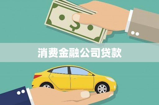芦淞消费金融公司贷款