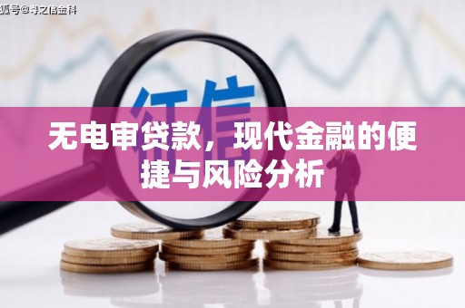 芦淞无电审贷款，现代金融的便捷与风险分析