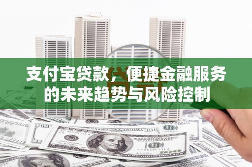芦淞支付宝贷款，便捷金融服务的未来趋势与风险控制