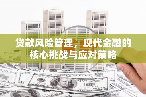 芦淞贷款风险管理，现代金融的核心挑战与应对策略