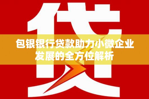 芦淞包银银行贷款助力小微企业发展的全方位解析