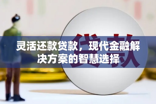 芦淞灵活还款贷款，现代金融解决方案的智慧选择