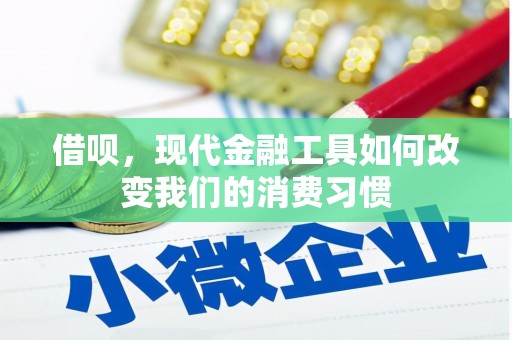 芦淞借呗，现代金融工具如何改变我们的消费习惯