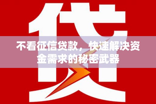芦淞不看征信贷款，快速解决资金需求的秘密武器