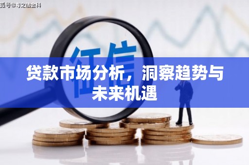 芦淞贷款市场分析，洞察趋势与未来机遇