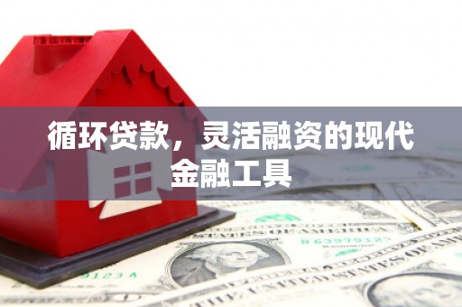 芦淞循环贷款，灵活融资的现代金融工具
