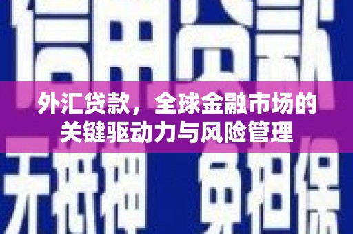 芦淞外汇贷款，全球金融市场的关键驱动力与风险管理