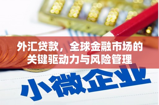 芦淞外汇贷款，全球金融市场的关键驱动力与风险管理