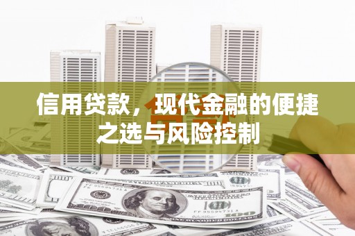 芦淞信用贷款，现代金融的便捷之选与风险控制
