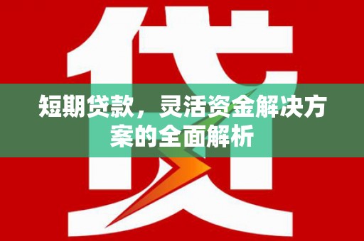 芦淞短期贷款，灵活资金解决方案的全面解析