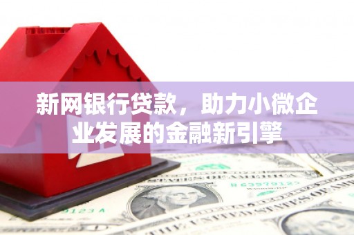 芦淞新网银行贷款，助力小微企业发展的金融新引擎