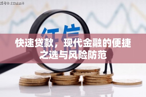 芦淞快速贷款，现代金融的便捷之选与风险防范