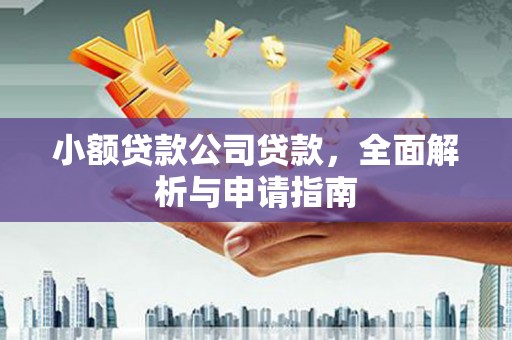 芦淞小额贷款公司贷款，全面解析与申请指南