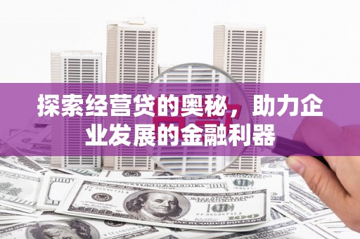 芦淞探索经营贷的奥秘，助力企业发展的金融利器