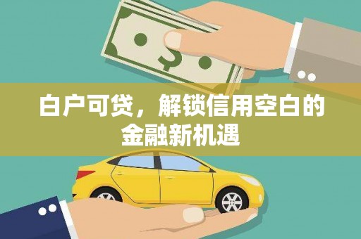 芦淞白户可贷，解锁信用空白的金融新机遇