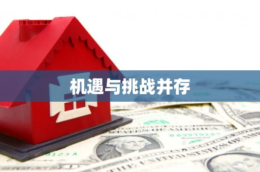 芦淞机遇与挑战并存