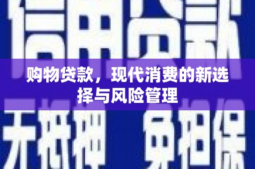 芦淞购物贷款，现代消费的新选择与风险管理