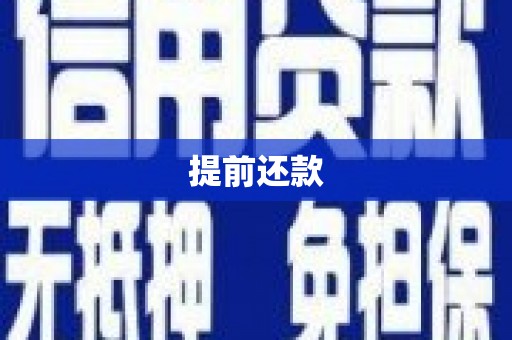 芦淞提前还款