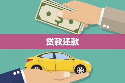 芦淞贷款还款