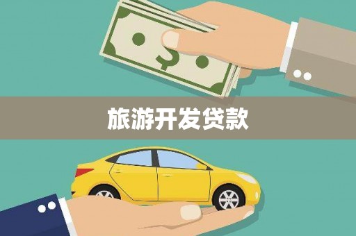 芦淞旅游开发贷款
