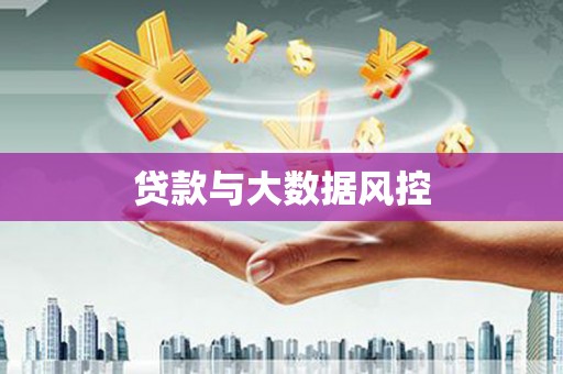 芦淞贷款与大数据风控