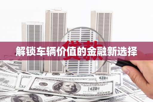 芦淞解锁车辆价值的金融新选择