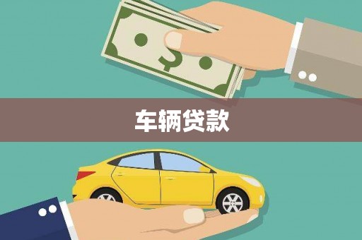 芦淞车辆贷款