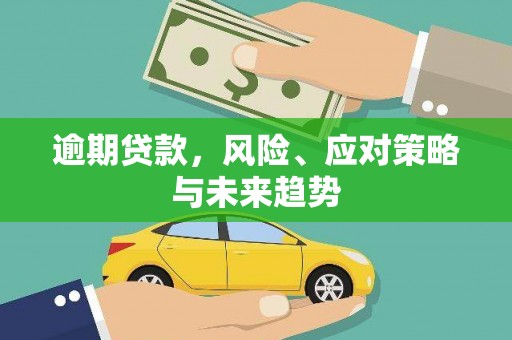 芦淞逾期贷款，风险、应对策略与未来趋势