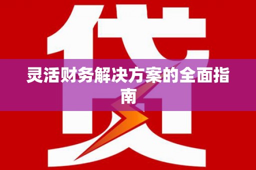 芦淞灵活财务解决方案的全面指南