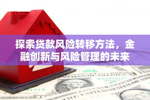 芦淞探索贷款风险转移方法，金融创新与风险管理的未来