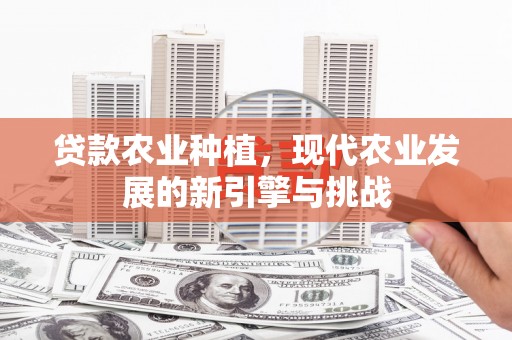 芦淞贷款农业种植，现代农业发展的新引擎与挑战