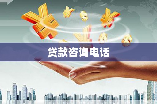 芦淞贷款咨询电话