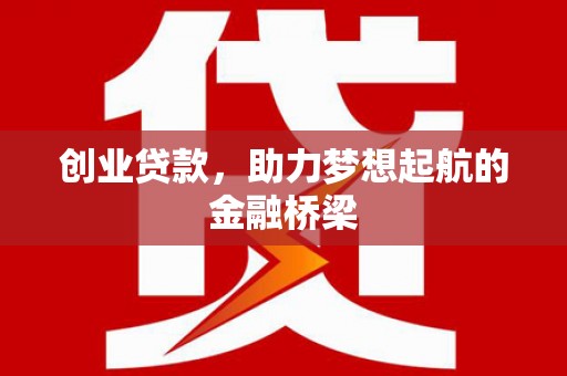 芦淞创业贷款，助力梦想起航的金融桥梁