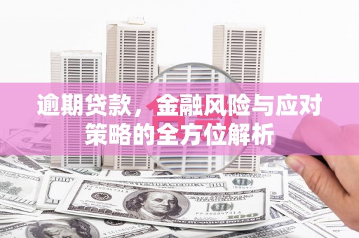 芦淞逾期贷款，金融风险与应对策略的全方位解析
