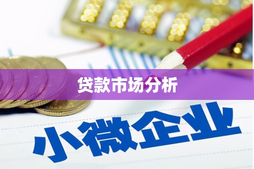 芦淞贷款市场分析