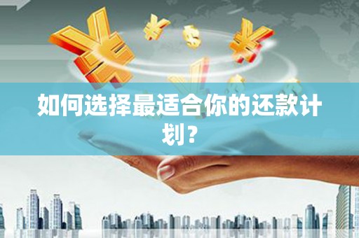 芦淞如何选择最适合你的还款计划？