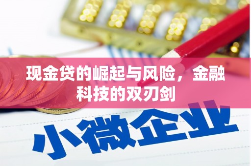 芦淞现金贷的崛起与风险，金融科技的双刃剑