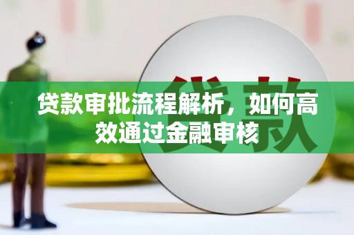 芦淞贷款审批流程解析，如何高效通过金融审核
