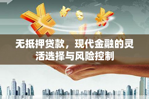 芦淞无抵押贷款，现代金融的灵活选择与风险控制