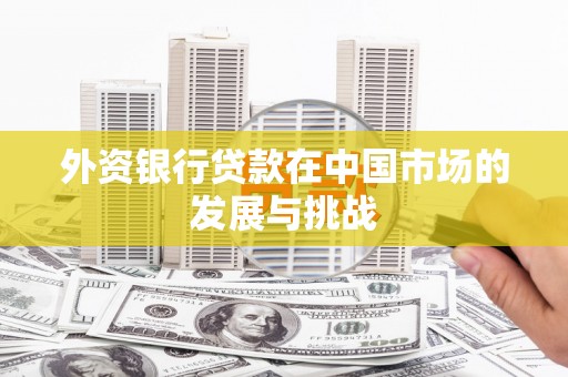 芦淞外资银行贷款在中国市场的发展与挑战