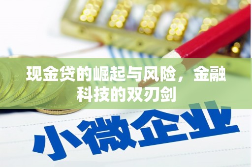 芦淞现金贷的崛起与风险，金融科技的双刃剑