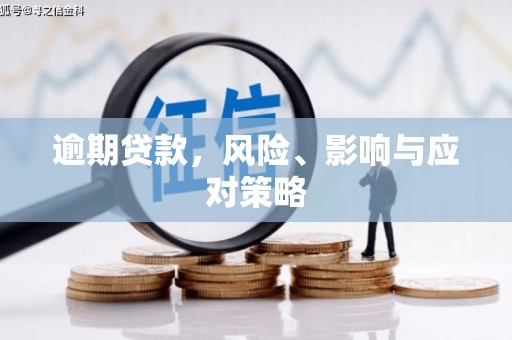芦淞逾期贷款，风险、影响与应对策略
