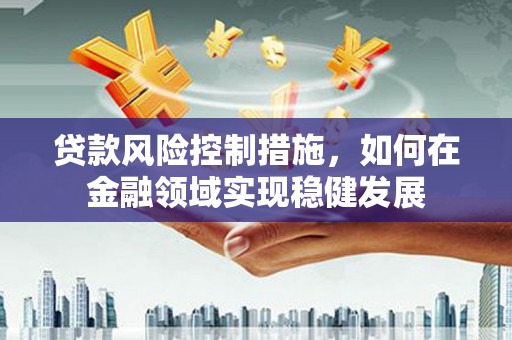 芦淞贷款风险控制措施，如何在金融领域实现稳健发展