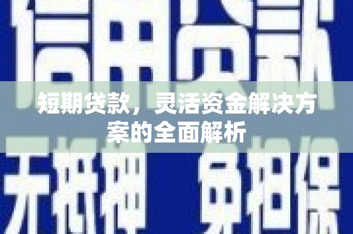 芦淞短期贷款，灵活资金解决方案的全面解析