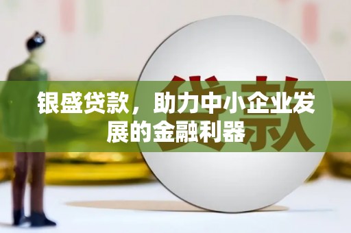 芦淞银盛贷款，助力中小企业发展的金融利器