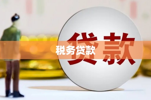 芦淞税务贷款