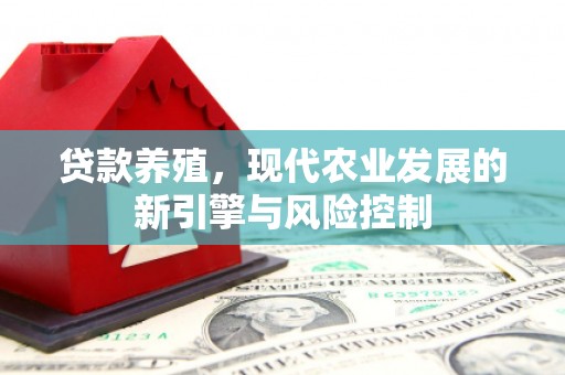 芦淞贷款养殖，现代农业发展的新引擎与风险控制