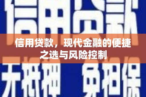 芦淞信用贷款，现代金融的便捷之选与风险控制