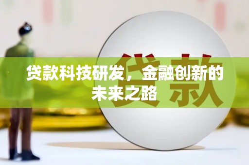 芦淞贷款科技研发，金融创新的未来之路